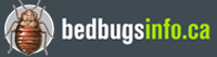 Bed Bugs