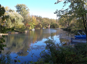 Serenity in Black Creek