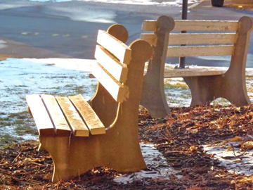 Winter Thaw