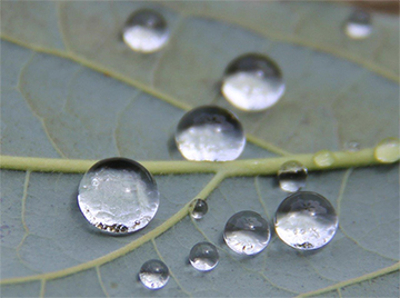 Raindrop Reflection