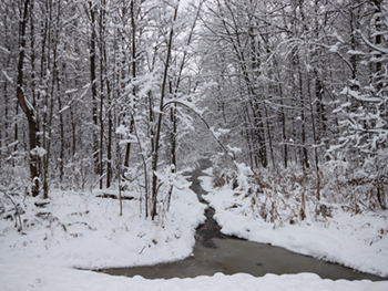 First Snowfall