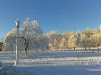 Winter Scenery