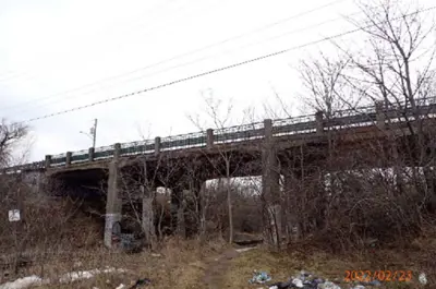 The Glendale Avenue Bridge is elevated over ground and surrounded by trees