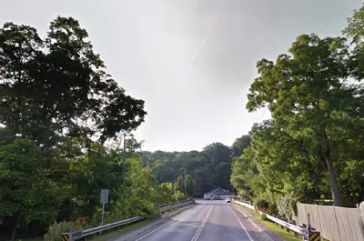 Trees surround the bridge on its left and right