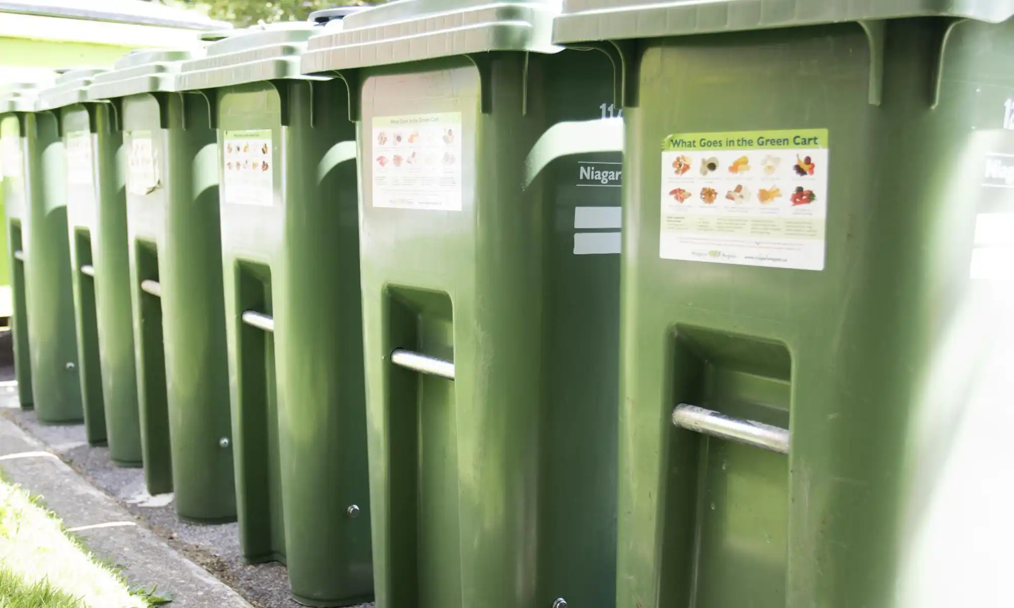 A row of Green Carts