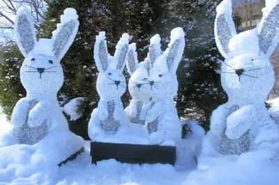 A group of five bunnies made of snow sits in a line in front of a pine tree